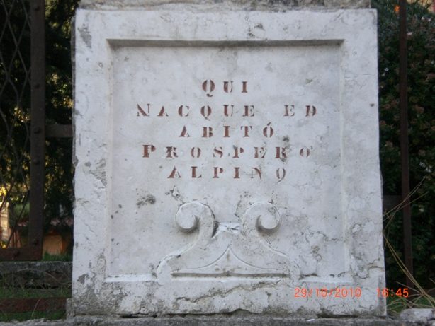 Prospero Alpini's home - 07.JPG